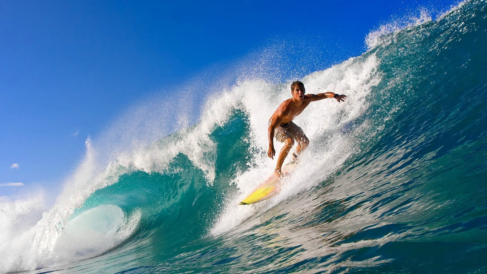 Ning新星逆转表现惊艳，C9未来可期！